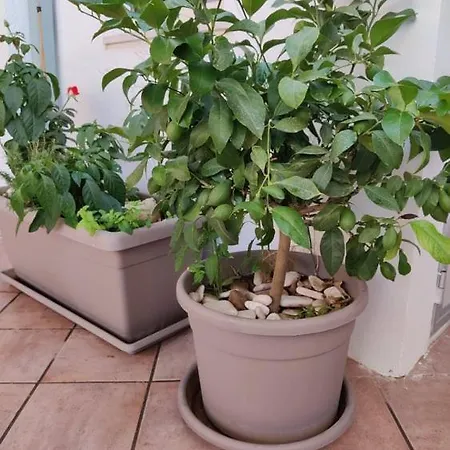 La Terrazza Da Christiane *